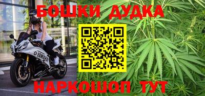 МДПВ Кингисепп
