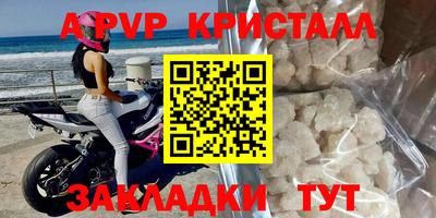 МДПВ Кингисепп