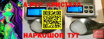 стафф Кимры