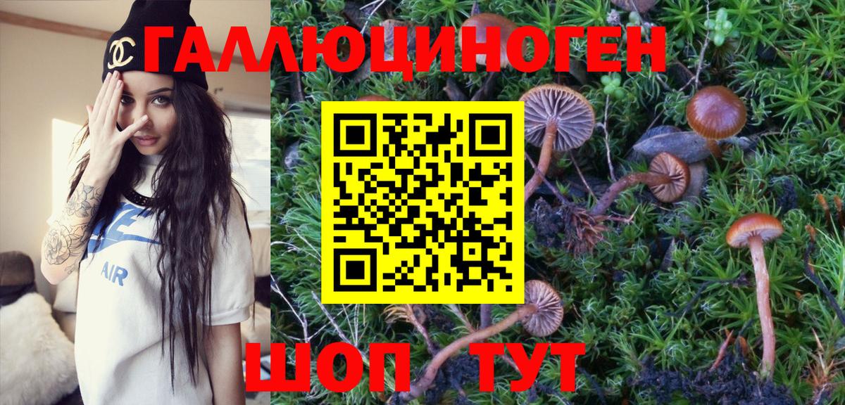 Галлюциногенные грибы Magic Shrooms Биробиджан